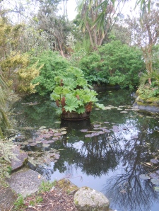 Morrab Gardens: Pond